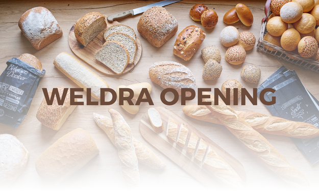 Ontwerp zonder titel (23)